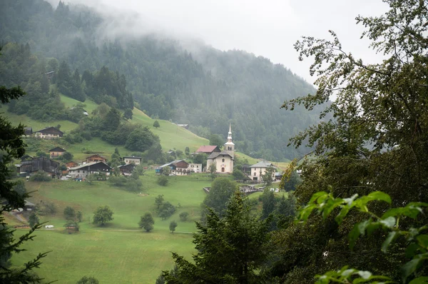 Alpine Waldnatur — Stockfoto