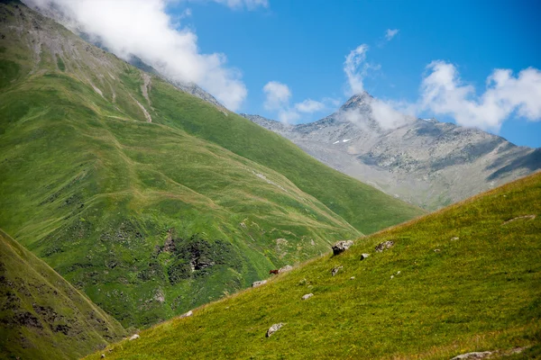 Hiking in Georgia Mountain — Stock Photo, Image