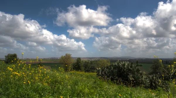 Весна в Ізраїлі — стокове фото