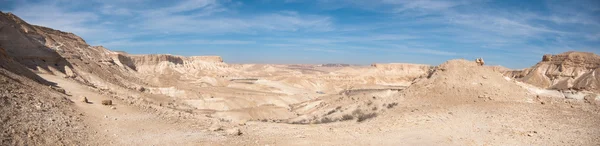 Panoramisch uitzicht van de Negev-woestijn — Stockfoto