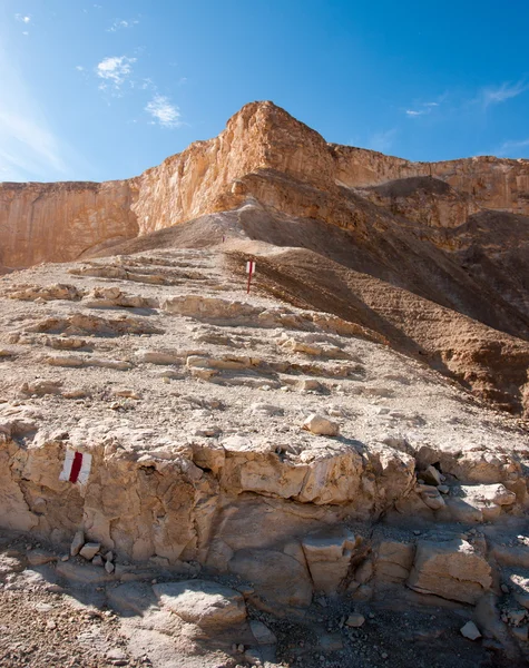 Viajar en el desierto de Negev, Israel —  Fotos de Stock