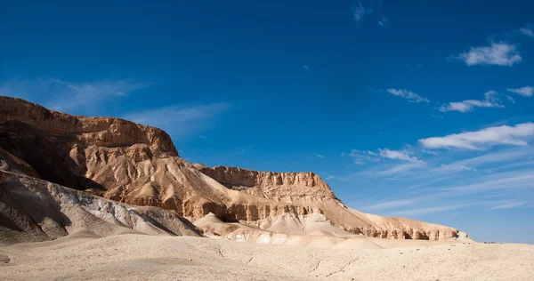 在以色列内盖夫沙漠旅行 — 图库照片