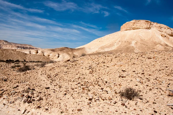 Viajar en el desierto de Negev, Israel — Foto de Stock