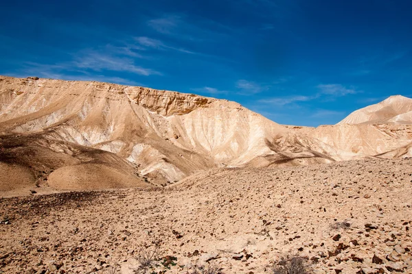 Reisen in der Wüste Negev, Israel — Stockfoto