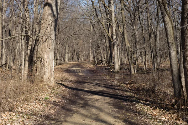 Walking in a park