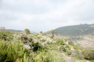 Bahar mevsimi manzarası