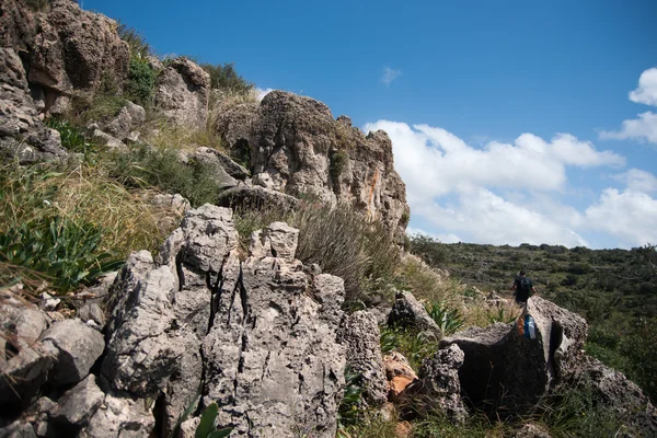 Hiking in nature trail — Stock Photo, Image