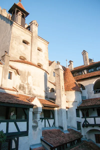 Dracula kasteel in Roemenië — Stockfoto