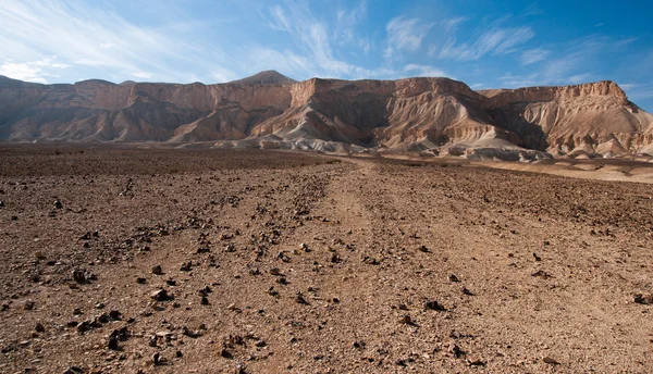 ネゲヴ砂漠、イスラエル共和国を旅行します。 — ストック写真