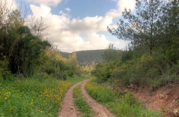 Printemps saison paysage Photo De Stock