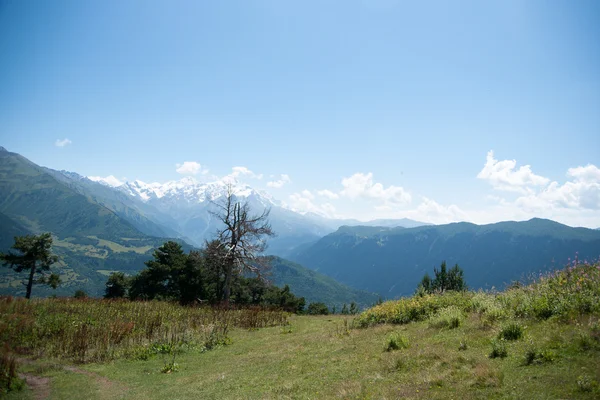 Hiking in mountain — Stock Photo, Image