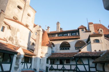 Romanya Drakula Şatosu