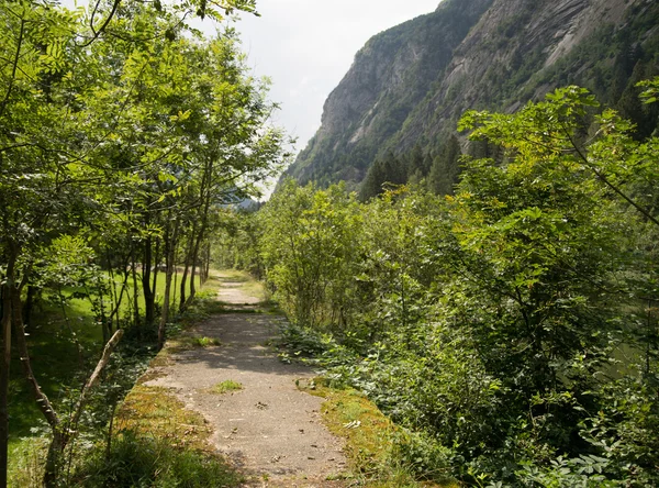 Dağ manzarası — Stok fotoğraf