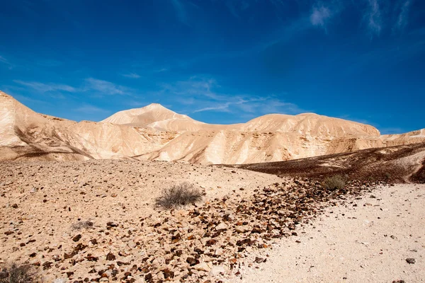 ネゲヴ砂漠、イスラエル共和国を旅行します。 — ストック写真