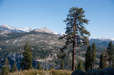 Yürüyüş panaramic trende Yosemite