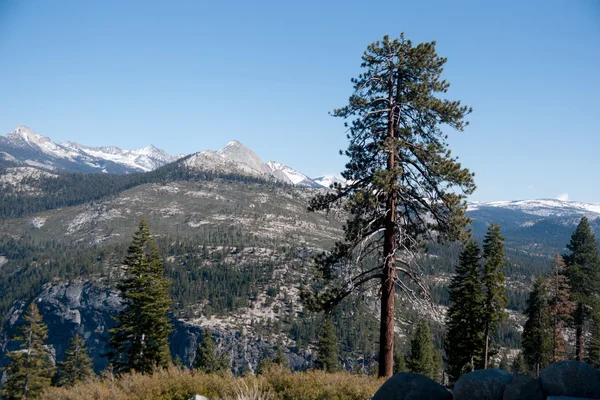 Vandring panaramic tåg i Yosemite — Stockfoto