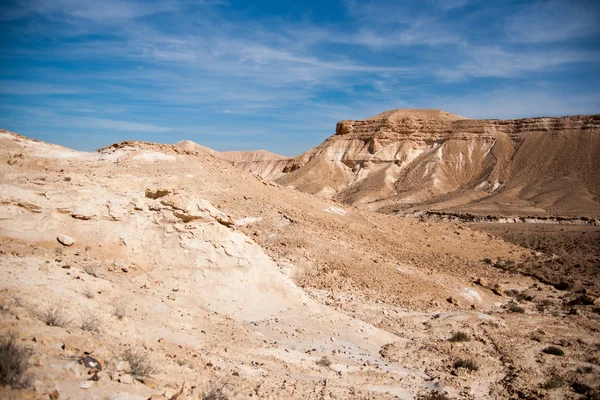 Reizen in de Negev-woestijn, Israël — Stockfoto