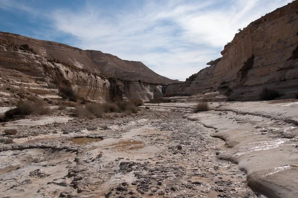 Water spring in a desert — Stock Photo, Image