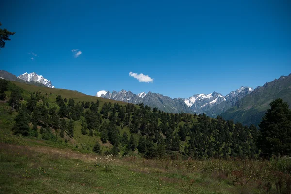 Wandern in den Bergen — Stockfoto