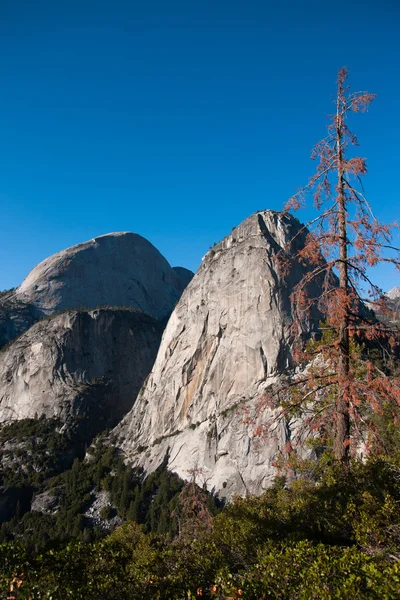 Hiking panaramic train in Yosemite — Stock Photo, Image