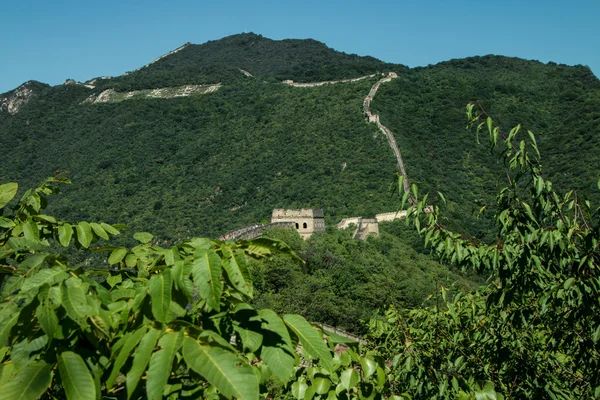 The Great Wall of China Mutianyu Section — Stock Photo, Image