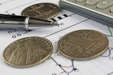 Para, hesap makinesi, grafik ve kalem ile mali geçmiş