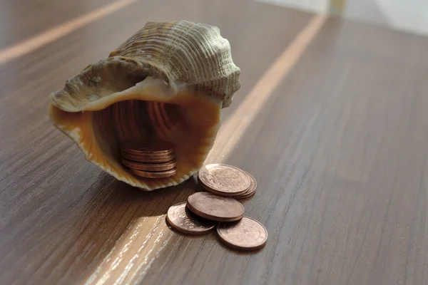 Money and shell — Stock Photo, Image