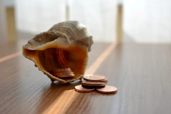 Money and shell — Stock Photo, Image