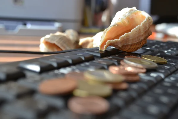 Dinero y caparazón — Foto de Stock