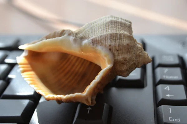 Tastiera con shell - sfondo astratto dell'ufficio — Foto Stock