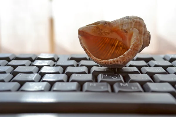 Keyboard with shell - abstract office background