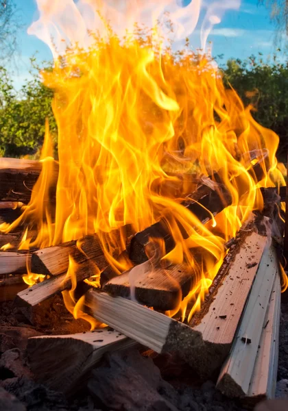 Bonfire närbild Foto — Stockfoto