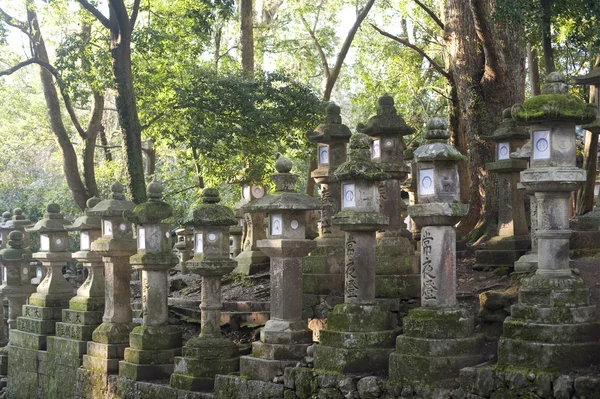 Rows of Kasuga Taisha Lanterns — Stock Photo, Image