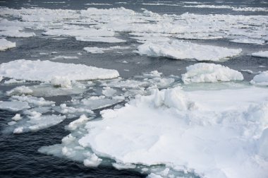 Abashiri buz drift Japonya yakınındaki soğuk Okyanusu