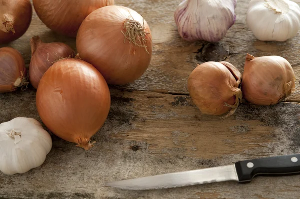 Diverse selection of spanish onions and garlic