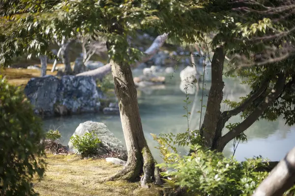 Ruhiger japanischer Zen-Garten mit Teich — Stockfoto