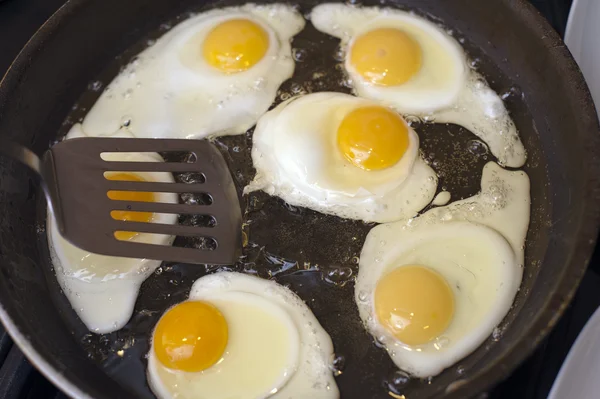 Frying a batch of eggs — Stock Photo, Image
