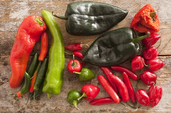 Sortiment av chilipeppar — Stockfoto