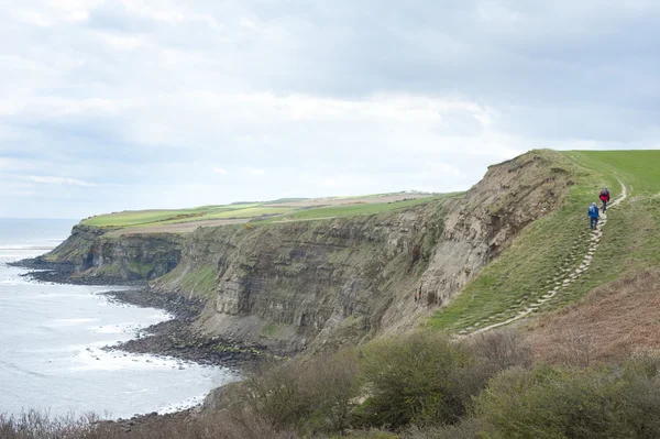 Sentier le long des falaises côtières — Photo