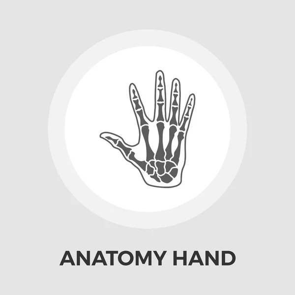 Anatomie hand platte Vector Icon — Stockvector