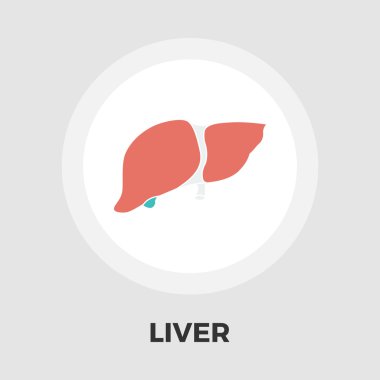 karaciğer düz simgesi