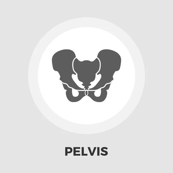 Pelvis icon flat — Stock Vector