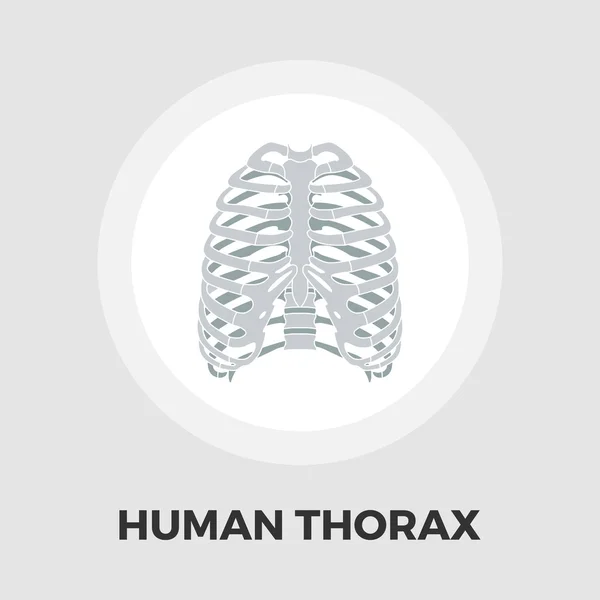 Menselijke borstkas platte pictogram — Stockvector