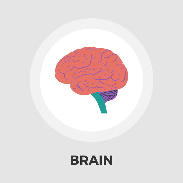 Brain flat icon — Stock Vector