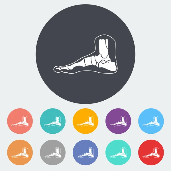 Foot anatomy icon. — Stock Vector