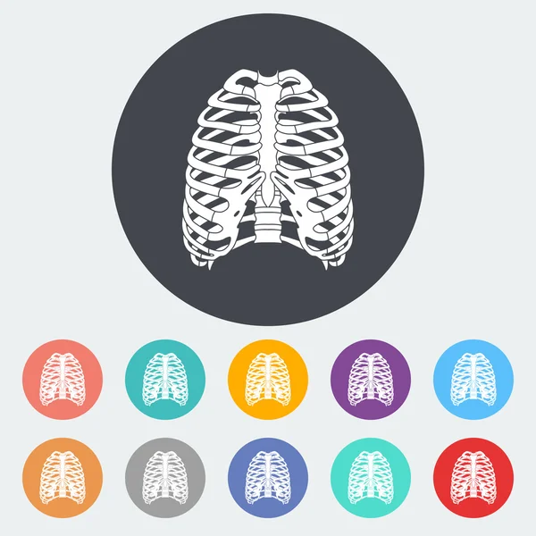 Pictogram van menselijke thorax. — Stockvector