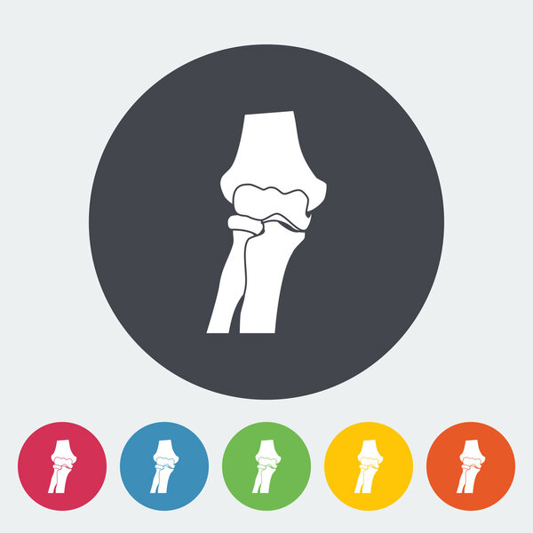 Коленоколенный сустав
.