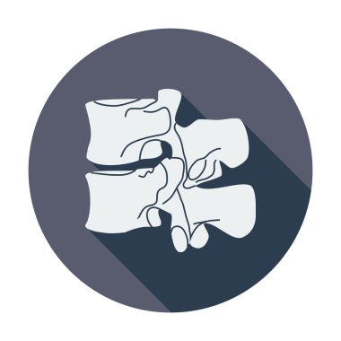 anatomisi omurga simgesi.