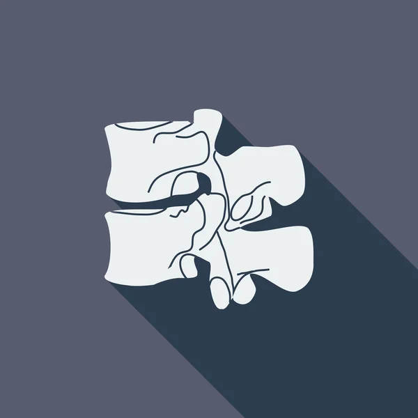 Anatomy spine icon. — Stock Vector