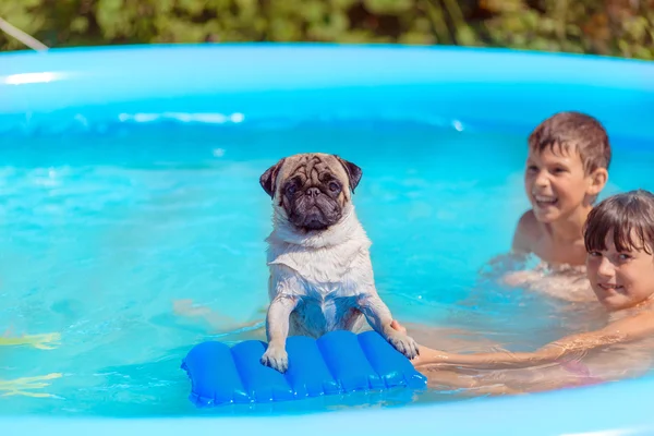 Hund och barn — Stockfoto